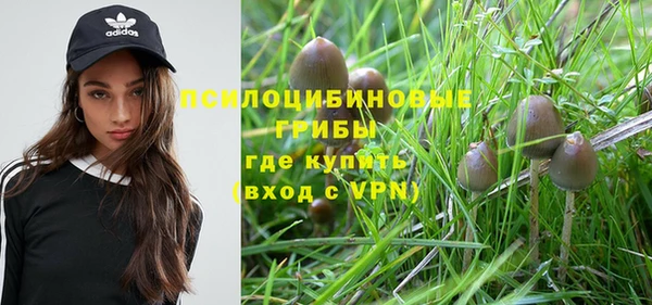 хмурый Покров